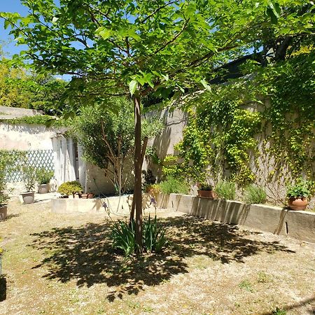 Appartement Au Coeur De Cassis Avec Jardin المظهر الخارجي الصورة