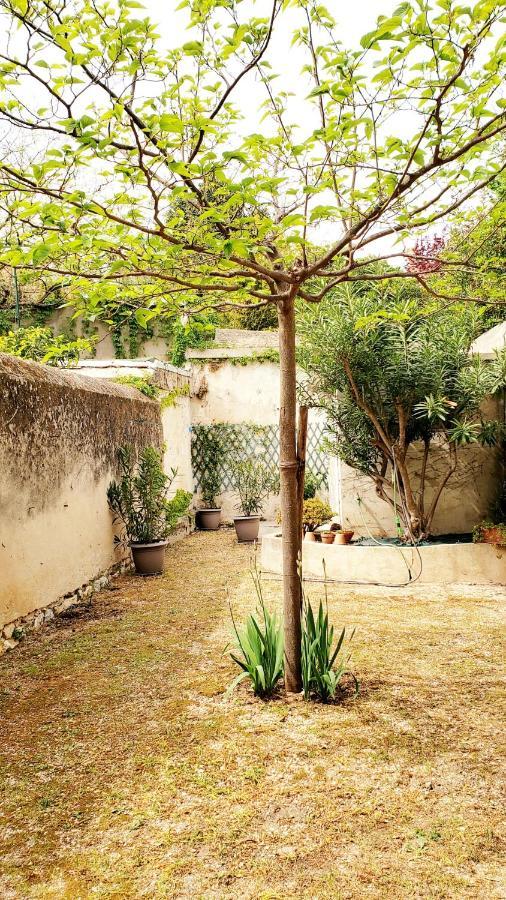 Appartement Au Coeur De Cassis Avec Jardin المظهر الخارجي الصورة