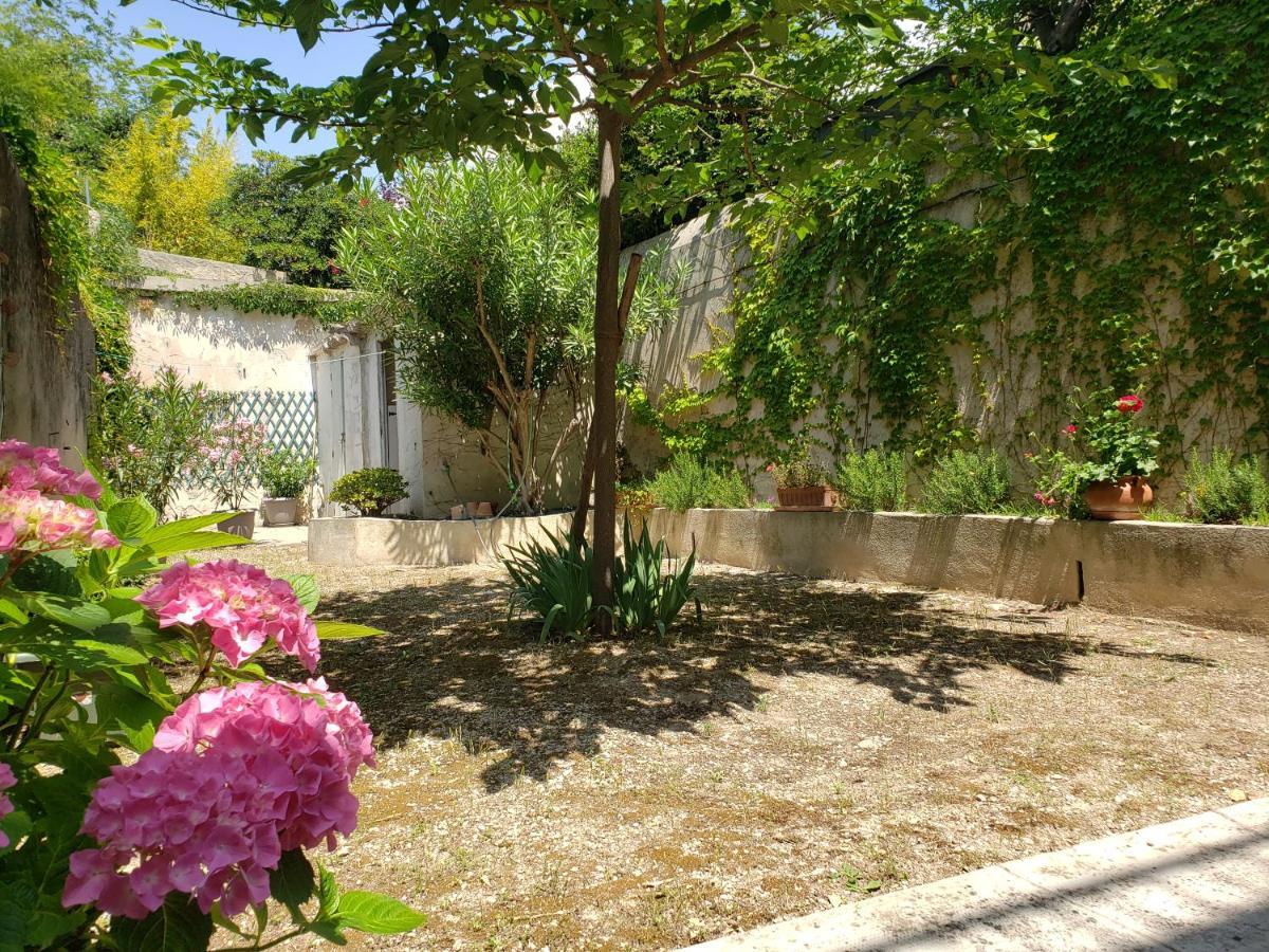 Appartement Au Coeur De Cassis Avec Jardin المظهر الخارجي الصورة